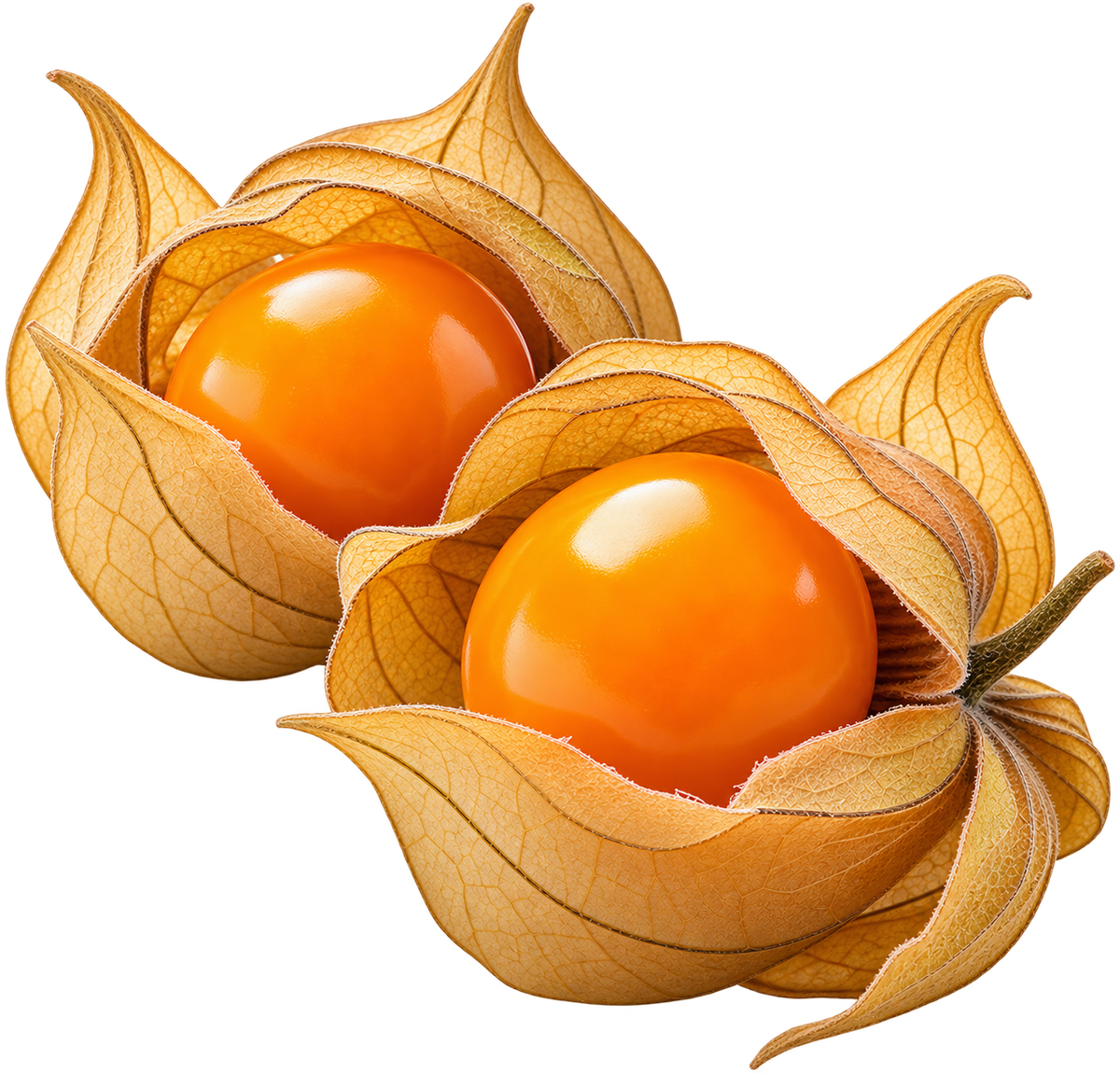 CAPE GOOSEBERRY: Raw