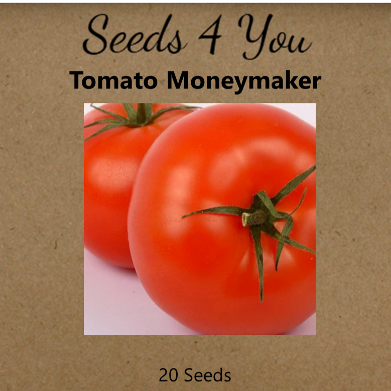 Tomato Moneymaker COMBO