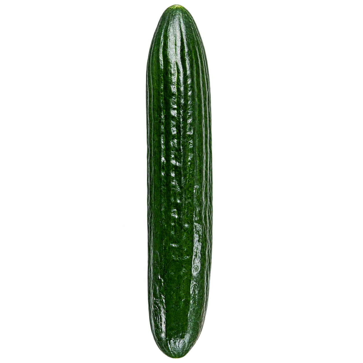 English Cucumber Bello F1