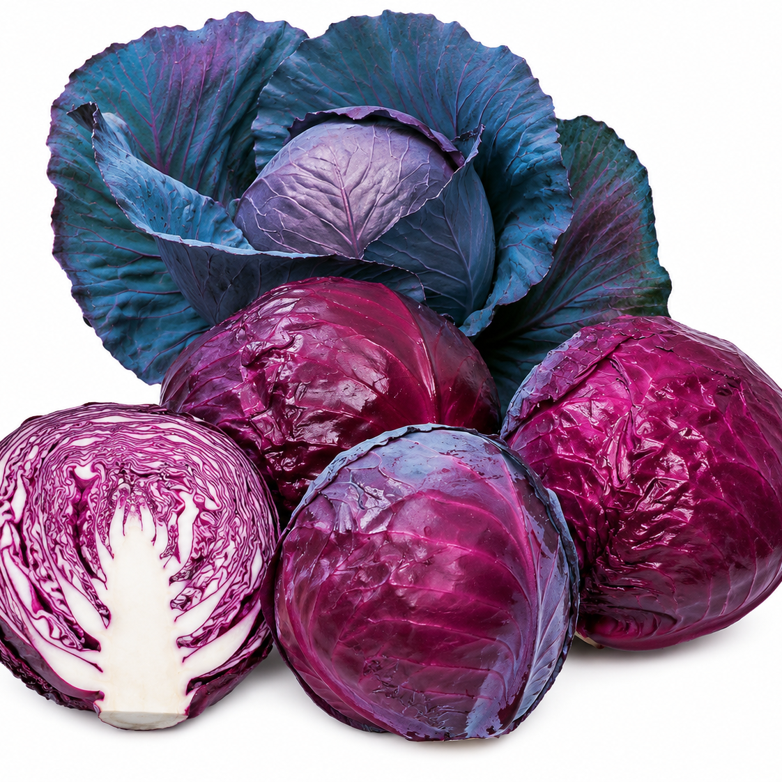 Cabbage Baby Red Omero