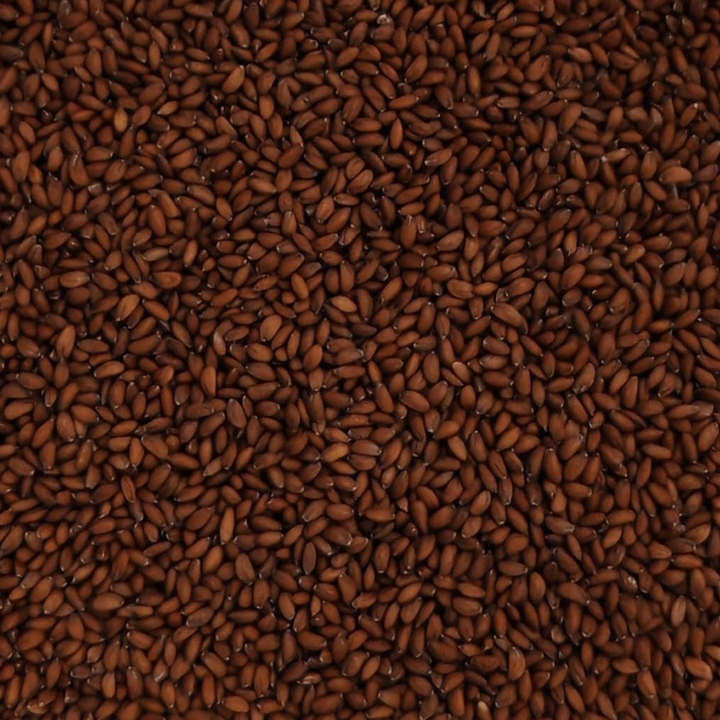 Crest Sprouting Seed