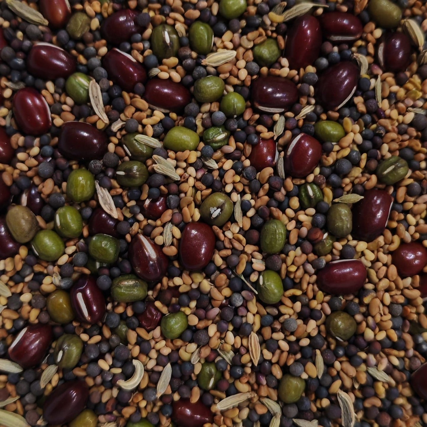 Italian Seed Mix Sprouting Seed