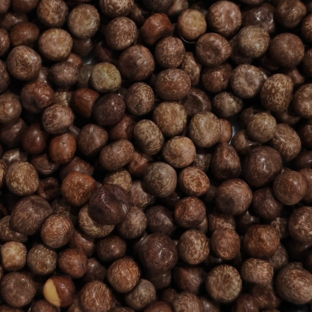 Maple Peas Sprouting Seed