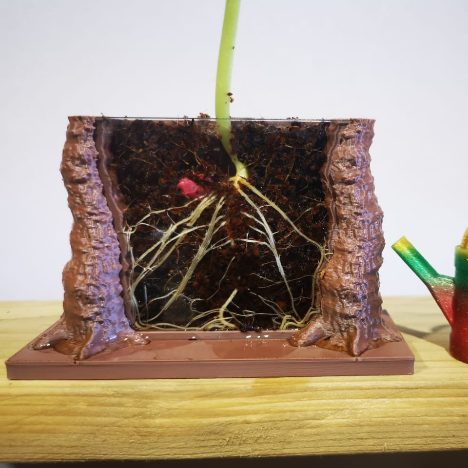 Root Viewer Planter