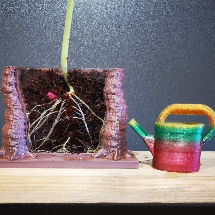 Root Viewer Planter