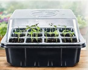 Seedling Propagation Tray with Humidity Dome