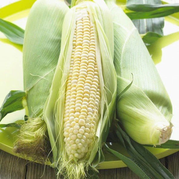 Sweetcorn Stowells