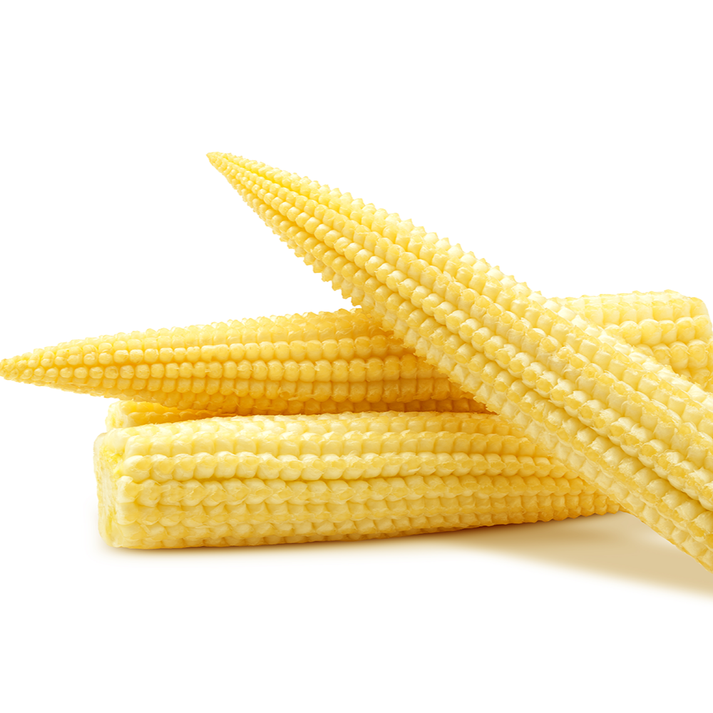 Thai Gold Baby Corn Hybrid