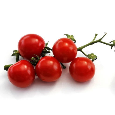 Tomato Principe Borghese