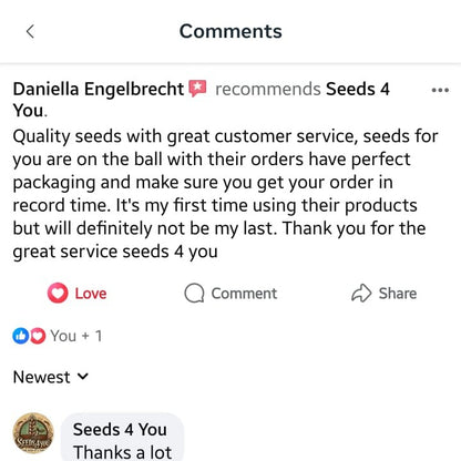 Testimonials