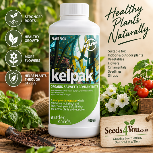 Kelpak