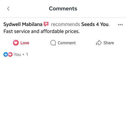 Testimonials