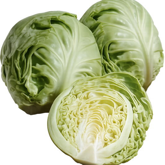 Cabbage Baby Green Rapidion