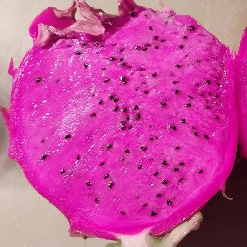 American Beauty Dragon Fruit