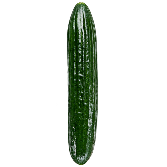 English Cucumber Bello F1