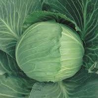 Cabbage Copenhagen Market