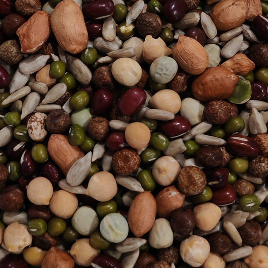 Chunky Salad Blend  Sprouting Seed