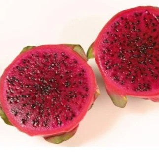 Costa Rican Sunset Dragon Fruit