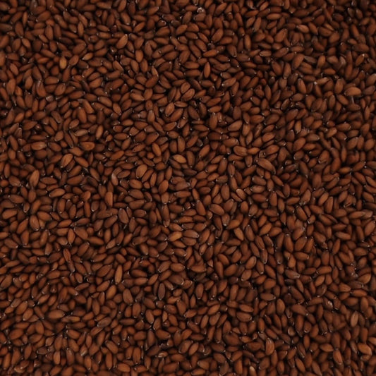 Crest  Sprouting Seed