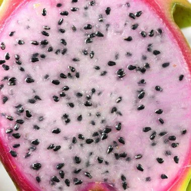 Delight Dragon Fruit