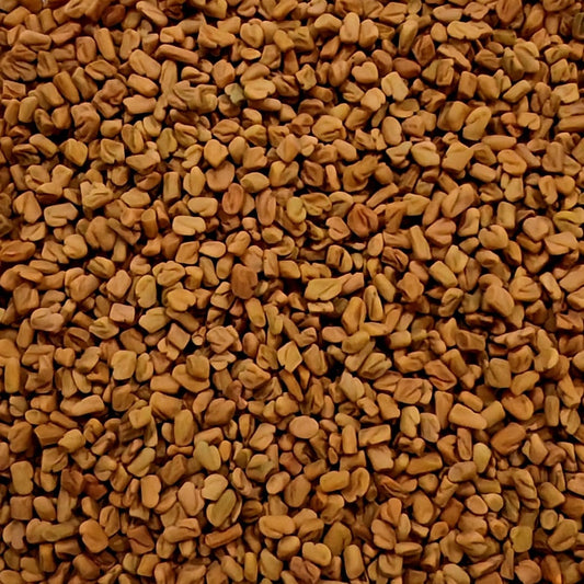 Fenugreek Sprouting Seeds