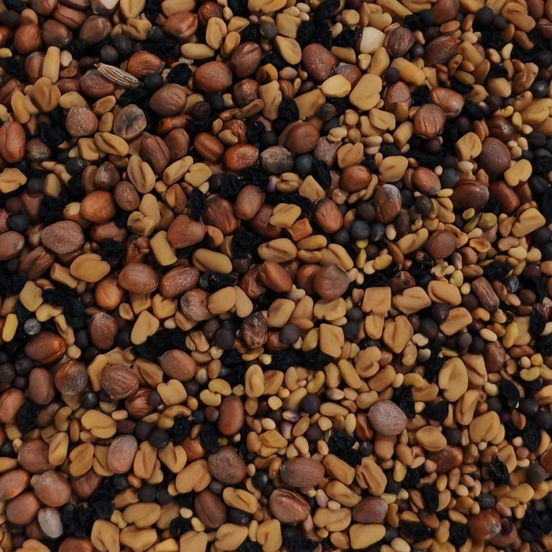 French Salad Blend Sprouting Seed