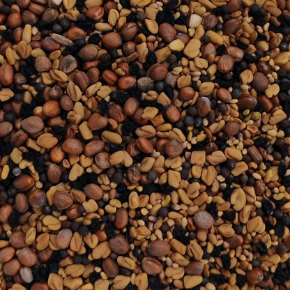 French Salad Blend Sprouting Seed