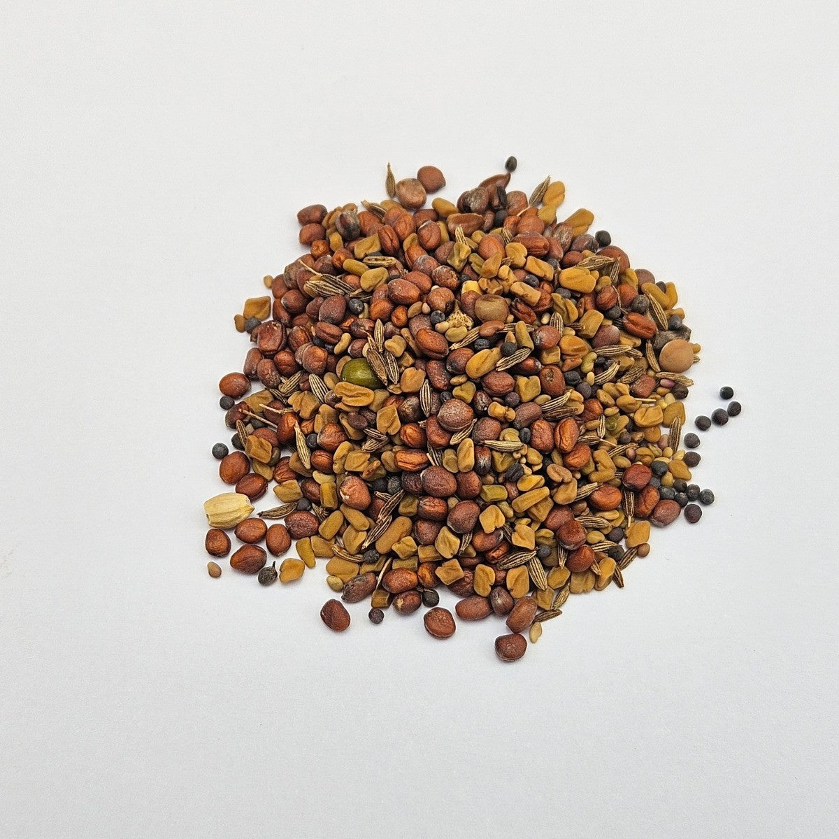French Salad Blend Sprouting Seed