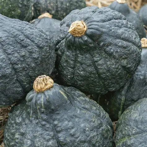 Green Hubbard Chick Warted