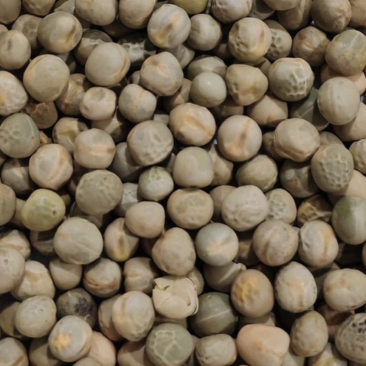 Green Peas Sprouting Seeds