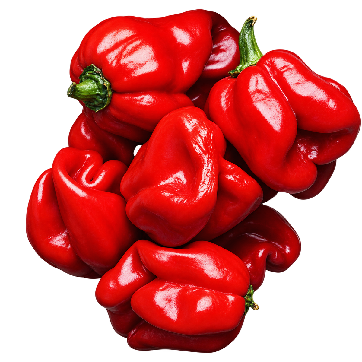 Habanero Red X-Hot - Green to Red
