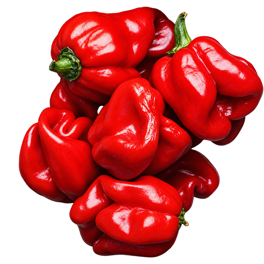 Habanero Red X-Hot - Green to Red