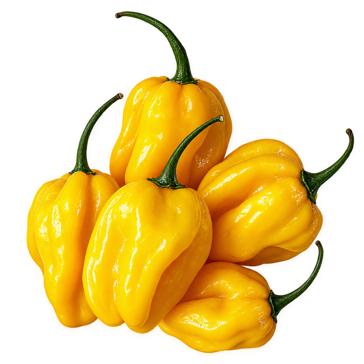 Habanero Yellow - X-Hot - Green to Yellow