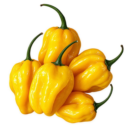 Habanero Yellow - X-Hot - Green to Yellow