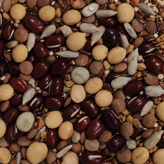 High Protein Mix Sprouting Seed