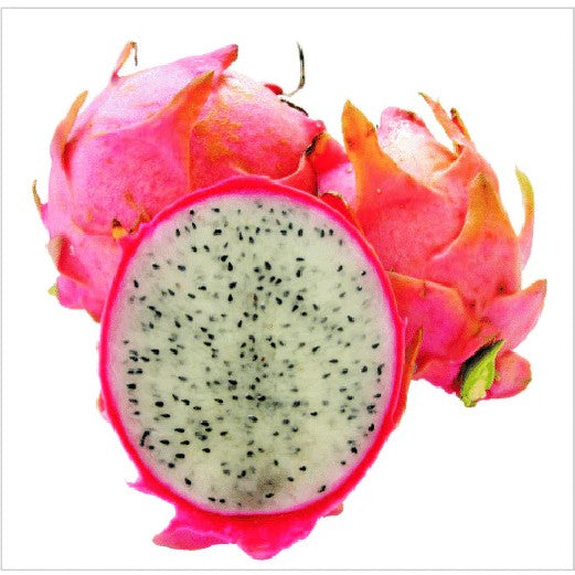 LA Woman Dragon Fruit