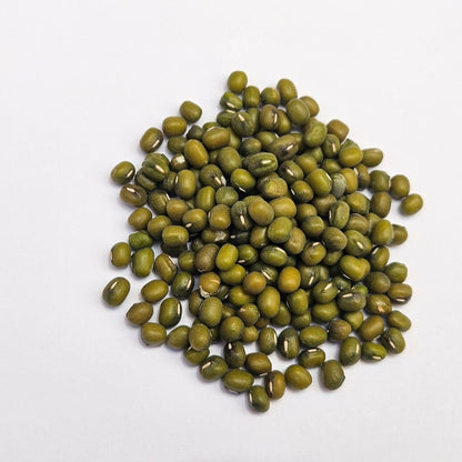 Mung Beans Sprouting Seeds