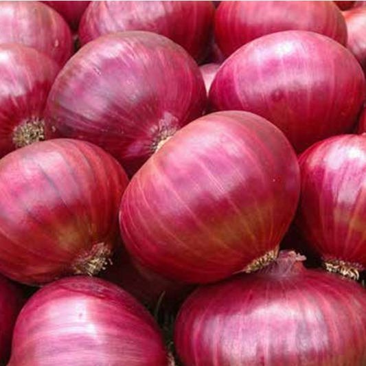 Onion Red Creole