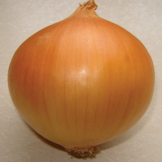 Onion Texas Grano