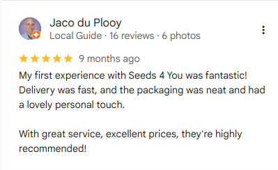 Testimonials