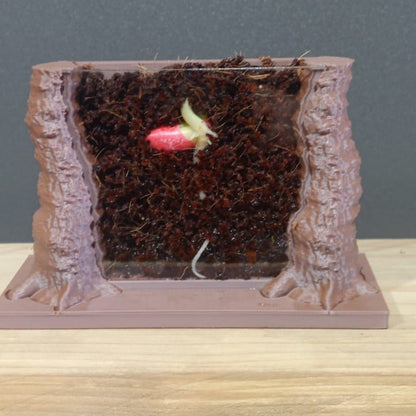 Root Viewer Planter