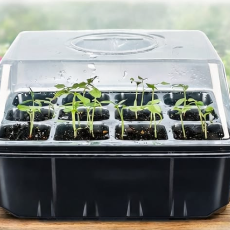 Seedling Propagation Tray with Humidity Dome
