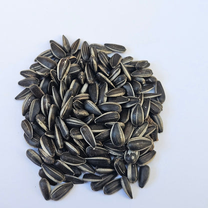 Sunflower Black Whole  Microgreen Seeds