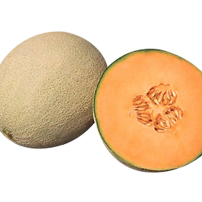 F1 Hybrid Cantaloupe Sweet Melon