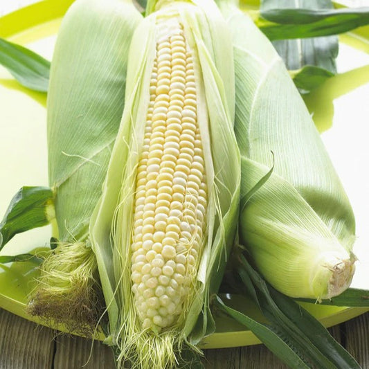 Sweetcorn Stowells