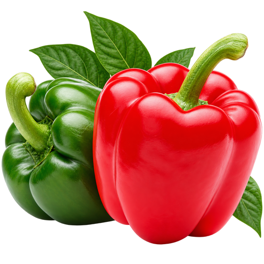 Sweet Pepper California Wonder