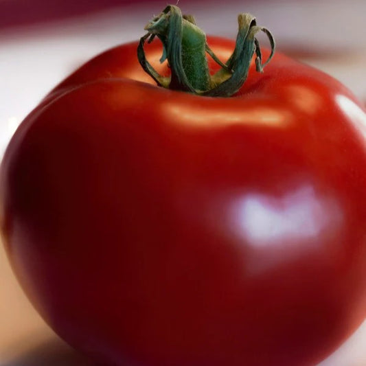 Tomato Heinz 1370