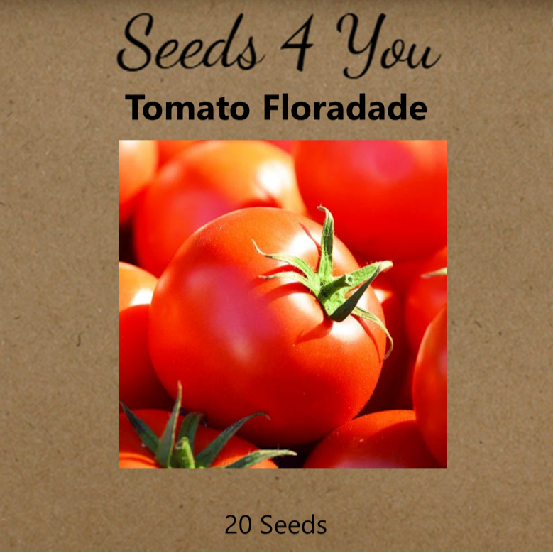Tomato Floradade COMBO