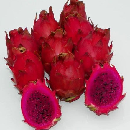 Voodoo Child Dragon Fruit