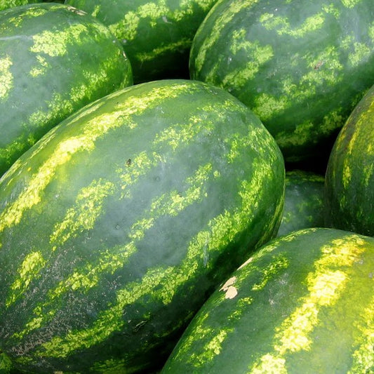 Watermelon All Sweet